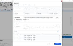 Split PDF Documents