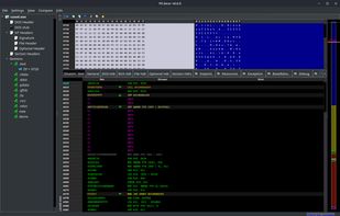 built-in disassembler