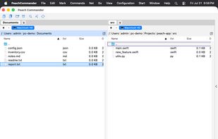 Two panels side by side, with tabs, drive bar and button bar.