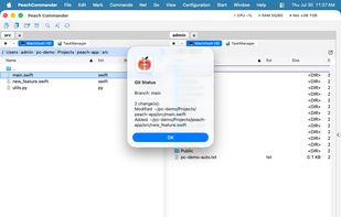 The Git plugin shows the branch and the changed files of the current folder.