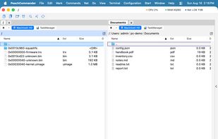 Filesystem images such as SquashFS, ext and Btrfs open like archives.