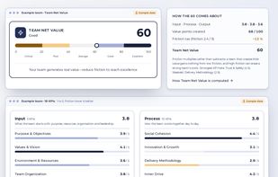 Team Net Value