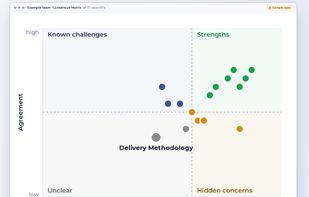 Team consensus matrix