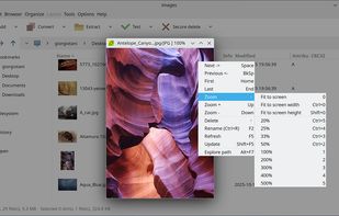 PeaZip image viewer; in background the file manager showing thumbnails in Details mode (large icons), on Linux with light theme
