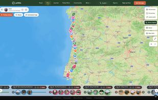 Ruth's Camino from Lisbon to Santiago, with a pebbl most days.
