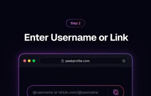 PeekProfile screenshot 1