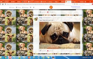 Profile page, with custom background feature.