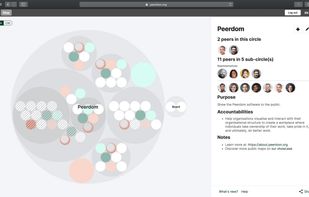 Peerdom screenshot 1