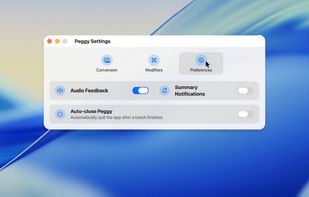 Peggy Converter screenshot 2