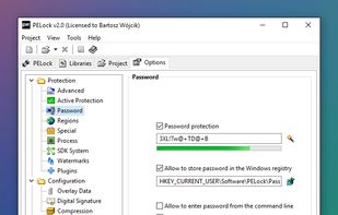 Application password protection