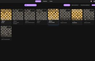 PenguinChess screenshot 2