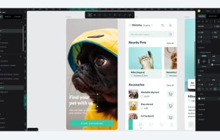 Powerful interaction design tool for designers and developers.