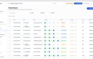 Pentestly.io screenshot 2