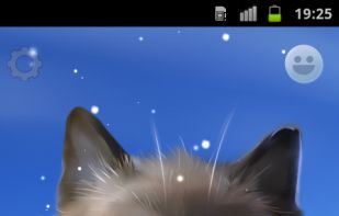 Peper Kitten Live Wallpaper screenshot 3