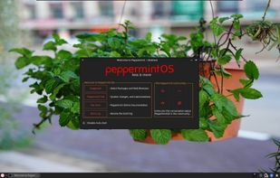 Peppermint OS screenshot 1