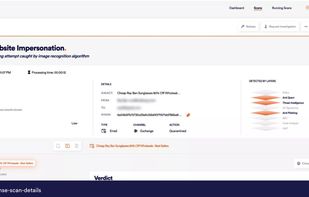 Incident response scan details