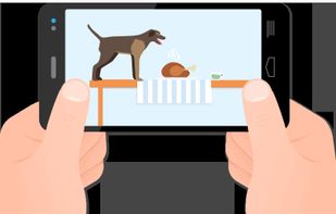 Perch Home monitoring screenshot 1