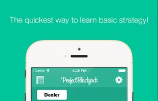 Perfect Blackjack screenshot 1
