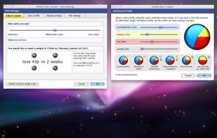 Perfect Diet Tracker screenshot 3