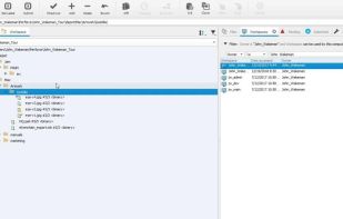 Perforce Helix Core screenshot 3