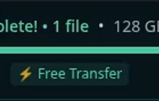 128gb transfer completed for free.