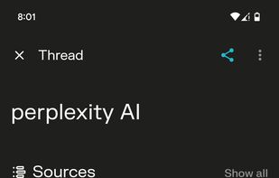 Perplexity screenshot 2