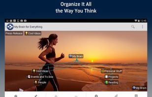 TheBrain screenshot 1