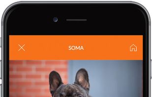 PetCheck screenshot 1