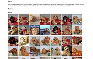 Petigree screenshot 3