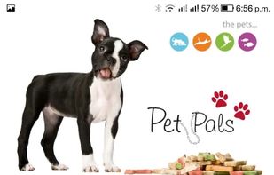 Pet Pals screenshot 2