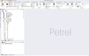 Petrel subsurface screenshot 1