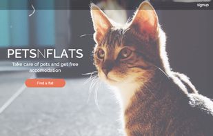 Petsnflats screenshot 2
