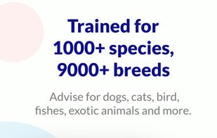 Petvise AI screenshot 1