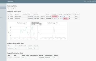 Monitor extensive replication metrics, including lags at primary and standby servers, physical and logical replication slot information, and standby recovery progress.