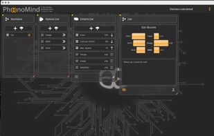 Enter your options, your criteria and set attributes, make the decision