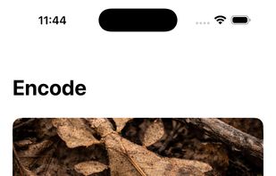 Encode