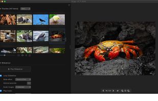 Phiewer screenshot 2