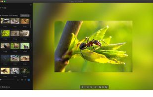 Phiewer screenshot 1