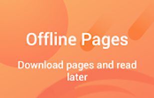 Phoenix Browser screenshot 1