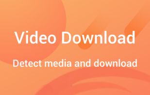 Phoenix Browser screenshot 1
