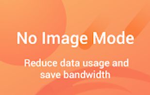 Phoenix Browser screenshot 3