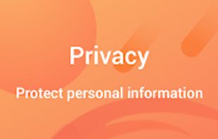 Phoenix Browser screenshot 2