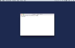 Phoenix screenshot 1