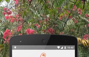 Pholoroid - Photo Coloring screenshot 1