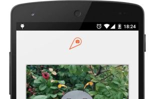 Pholoroid - Photo Coloring screenshot 1