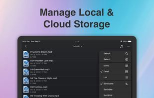 Phone Drive screenshot 2