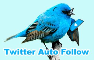 PhoneBot can also auto follow on Twitter.