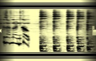 PhonoPaper screenshot 2