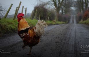 Photo Gallery and Screensaver screenshot 1