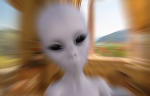 Photo Mirror screenshot 1